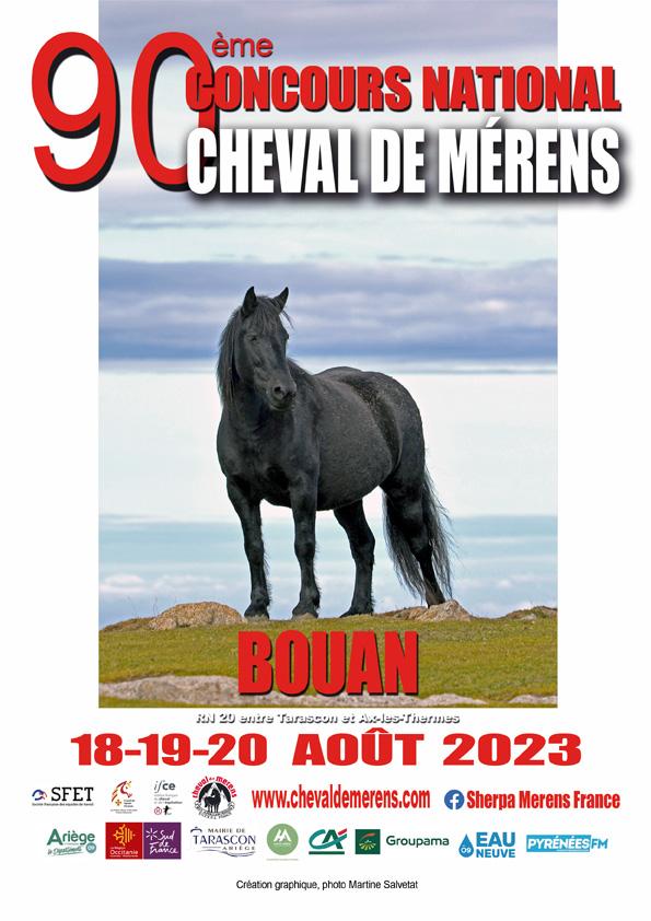Journées nationales du cheval de MérensCheval